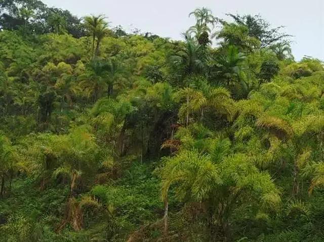 Casa venda em Região Imediata de Registro, Sete Barras