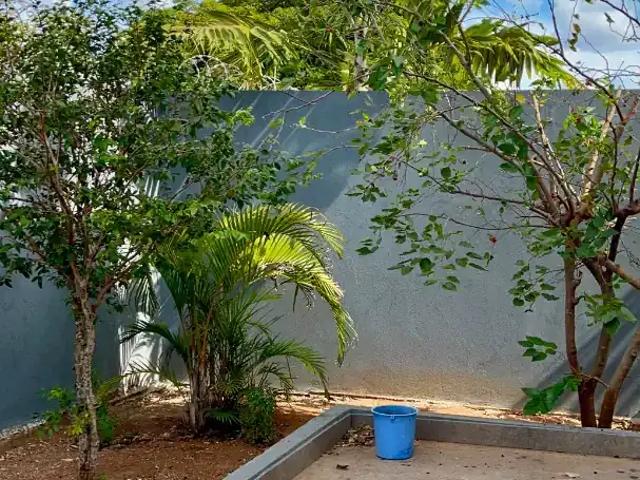 Casa aluguel em Região Geográfica Imediata do Distrito Federal, Região Integrada de Desenvolvimento do Distrito Federal e Entorno