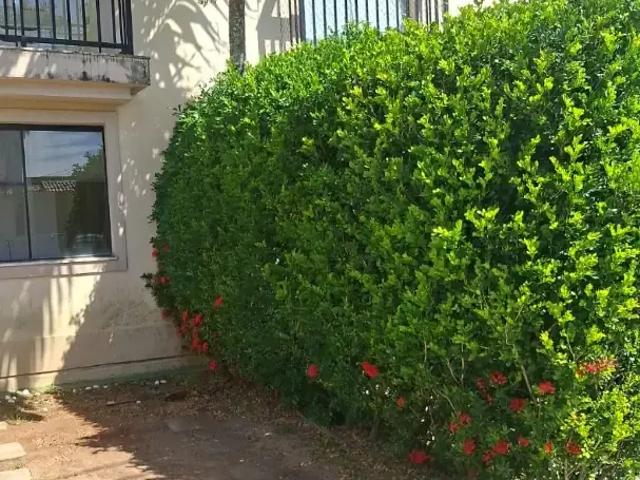 Casa aluguel em Região Geográfica Imediata de Salvador, Região Metropolitana de Salvador