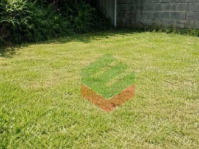 Casa aluguel em Região Imediata de Campinas, Região Metropolitana de Campinas