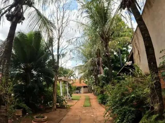 Casa aluguel em Região Imediata de São José do Rio Preto, Região Metropolitana de São José do Rio Preto
