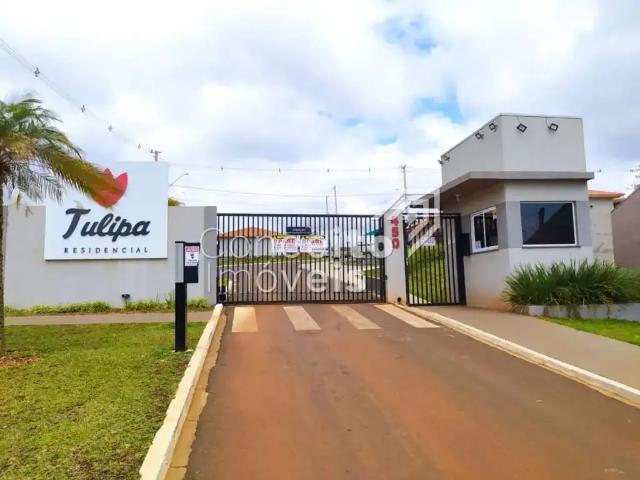 Casa aluguel em Região Geográfica Imediata de Ponta Grossa, Ponta Grossa