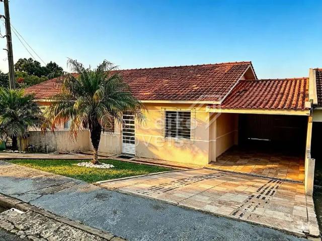 Casa aluguel em Região Geográfica Imediata de Ponta Grossa, Ponta Grossa