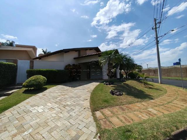Casa aluguel em São José do Rio Preto