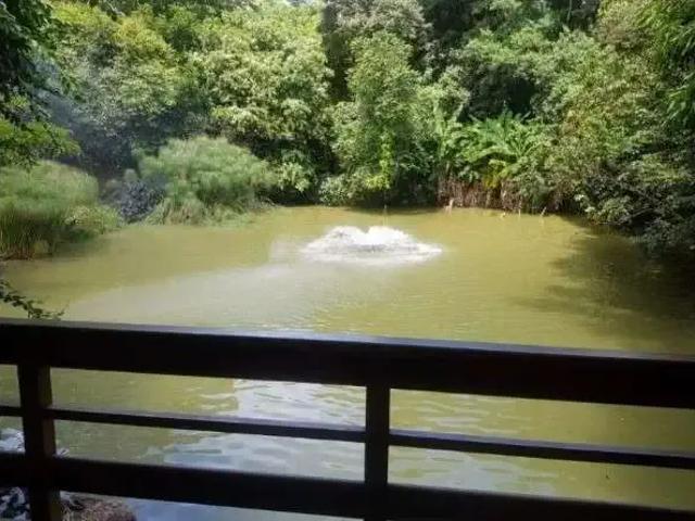 Casa aluguel em Região Imediata de Campinas, Região Metropolitana de Campinas