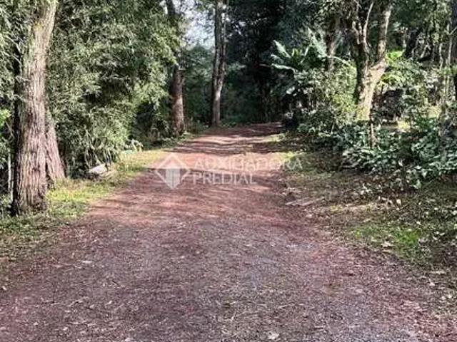Casa aluguel em Região Geográfica Imediata de Porto Alegre, Região Metropolitana de Porto Alegre