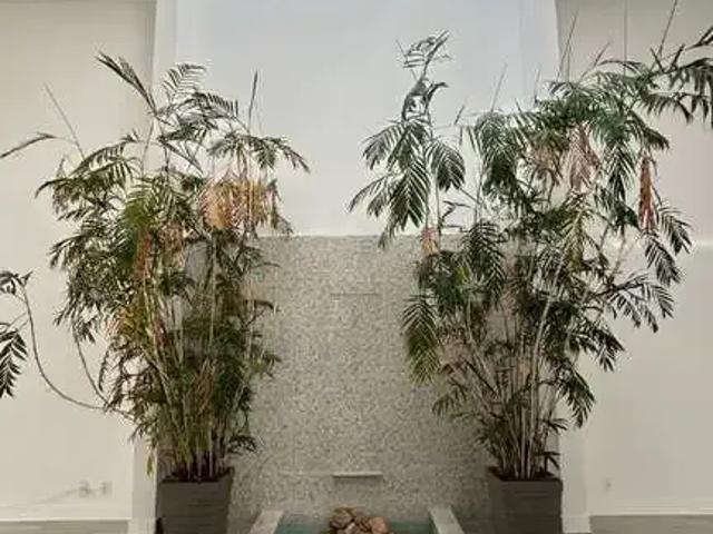 Casa aluguel em Região Imediata de Campinas, Região Metropolitana de Campinas
