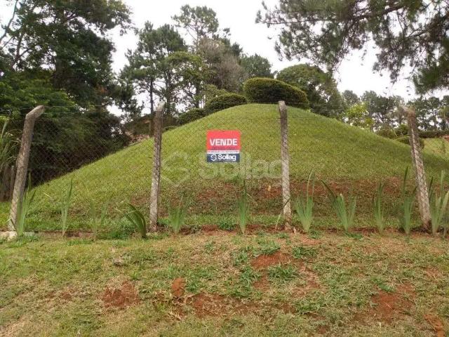 Casa aluguel em Região Imediata de Campinas, Região Metropolitana de Campinas