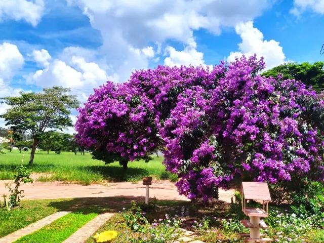 Casa venda em Região Imediata de Avaré, Águas de Santa Bárbara