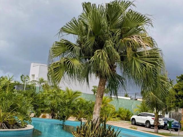 Casa venda em Conjunto Maria Helena Coutinho, Belém