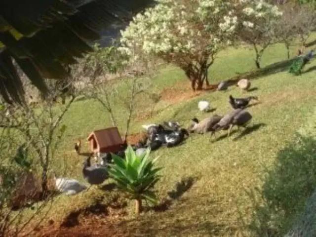 Casa venda em Região Imediata de Bragança Paulista, Bragança Paulista