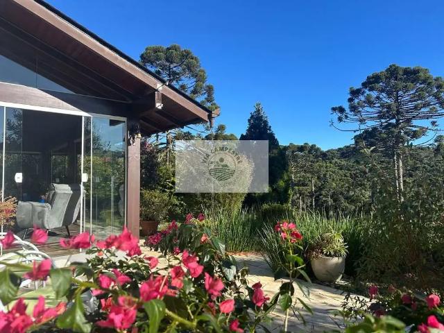 Casa venda em Região Geográfica Imediata de São Bento do Sul-Rio Negrinho, Campo Alegre