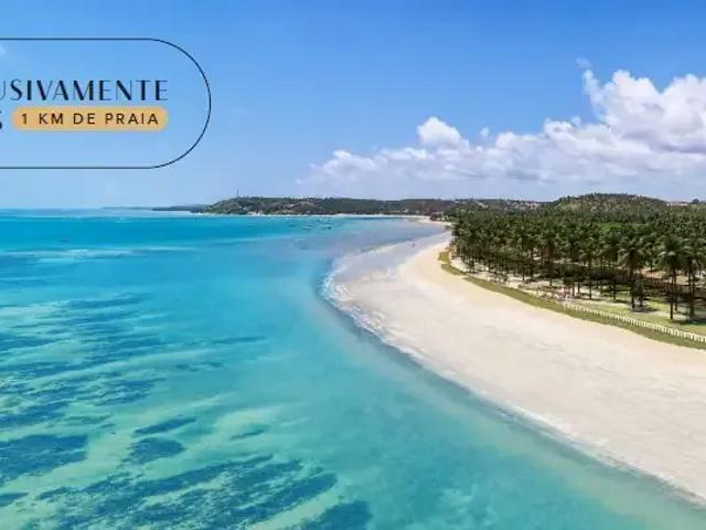 Casa venda em Região Geográfica Imediata de Porto Calvo-São Luís do Quitunde, Japaratinga