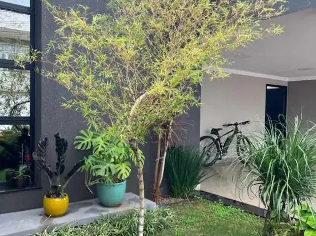 Casa venda em Juquiá, Juquia