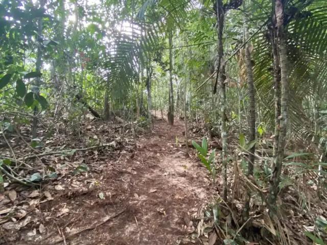 Casa venda em Região Geográfica Imediata de Manaus, Itamarati