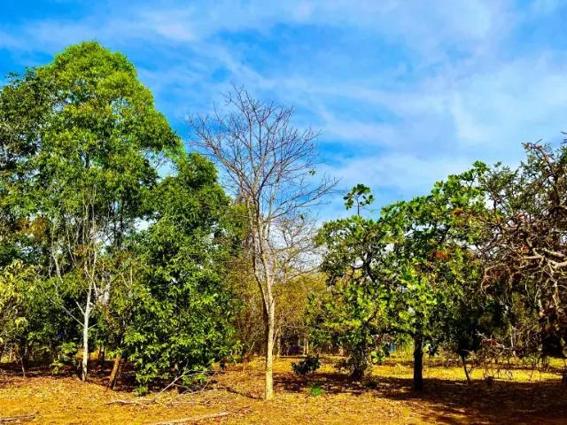 Casa venda em Região Geográfica Imediata de Anápolis, Região Integrada de Desenvolvimento do Distrito Federal e Entorno