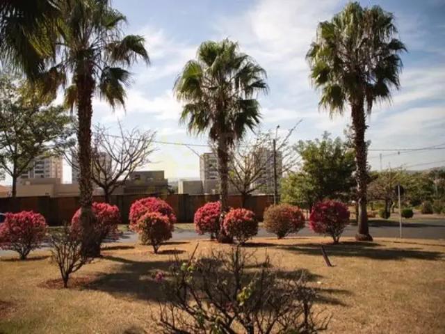 Casa venda em Região Imediata de Ribeirão Preto, Região Metropolitana de Ribeirão Preto