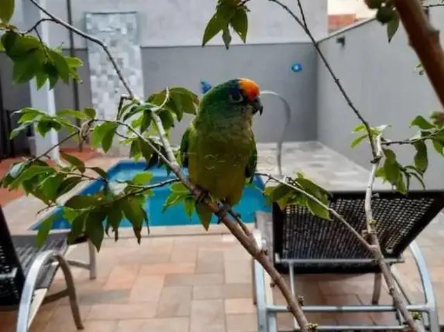Casa venda em Região Imediata de Ribeirão Preto, Região Metropolitana de Ribeirão Preto