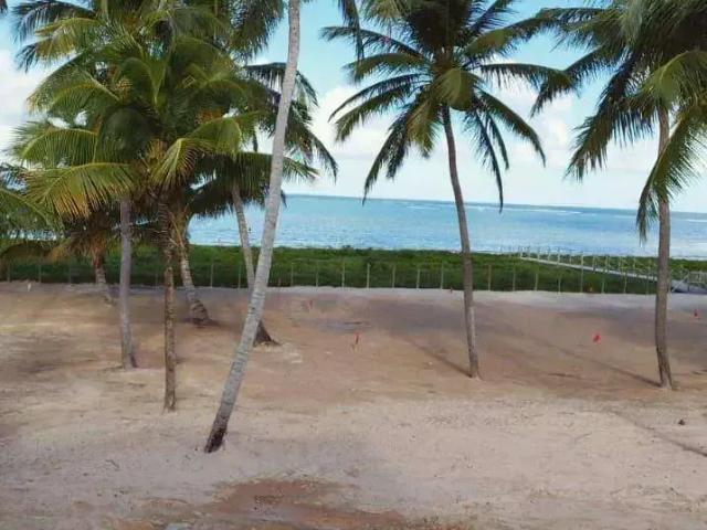 Casa venda em Região Geográfica Imediata de Porto Calvo-São Luís do Quitunde, São Miguel dos Milagres