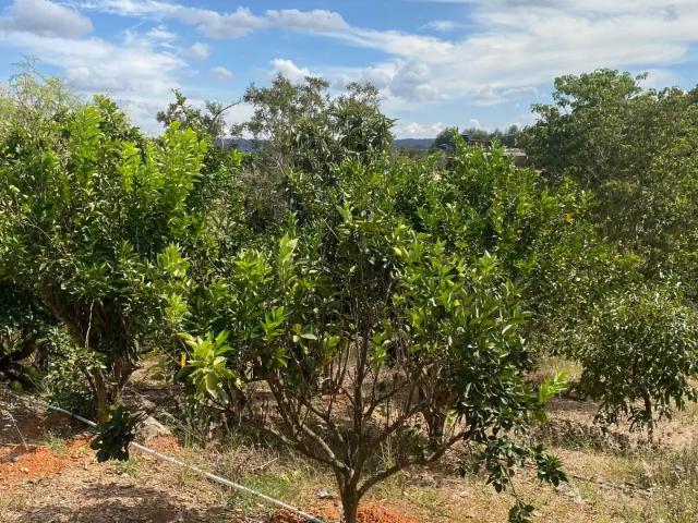 Casa venda em Região Geográfica Imediata de Luziânia, Região Integrada de Desenvolvimento do Distrito Federal e Entorno