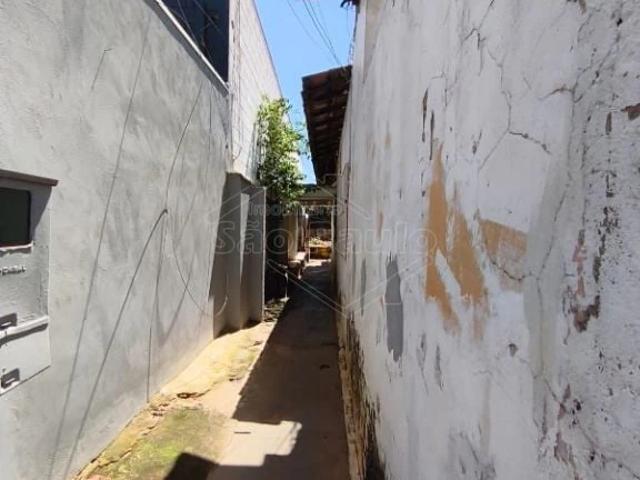 Casa aluguel em Américo Brasiliense