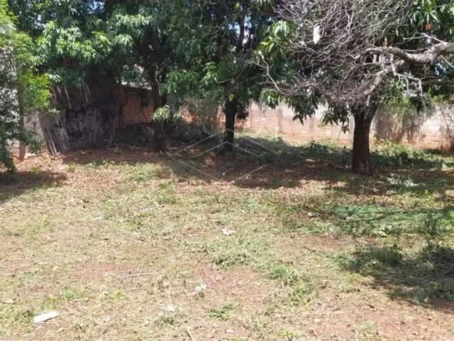 Casa aluguel em Bauru