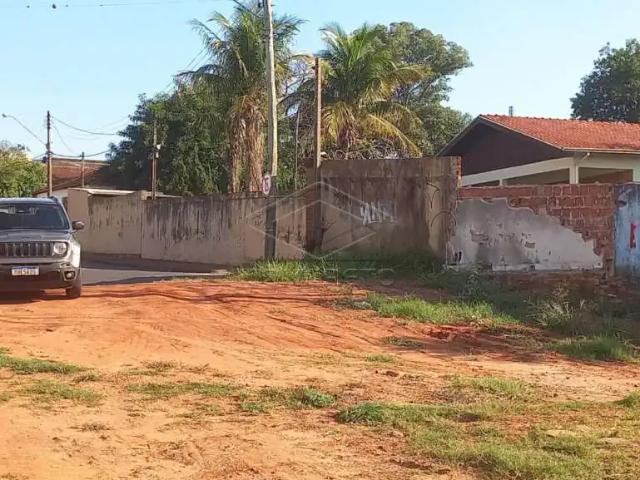 Casa aluguel em Bauru