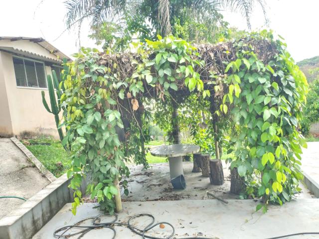 Casa aluguel em Regional Vianópolis, Betim