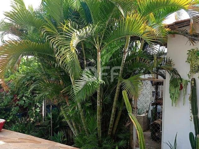 Casa aluguel em Parque Dos Pomares, Campinas