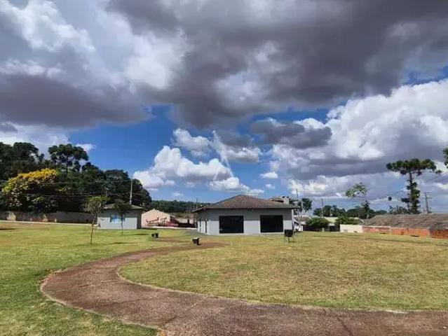 Casa aluguel em Região Geográfica Imediata de Cascavel, Cascavel