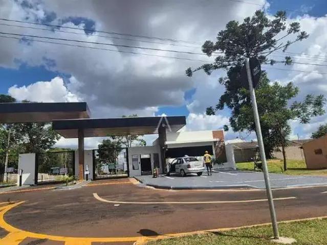 Casa aluguel em Região Geográfica Imediata de Cascavel, Cascavel