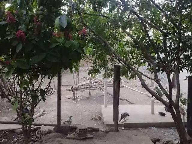 Casa aluguel em Ibipeba, Região Nordeste