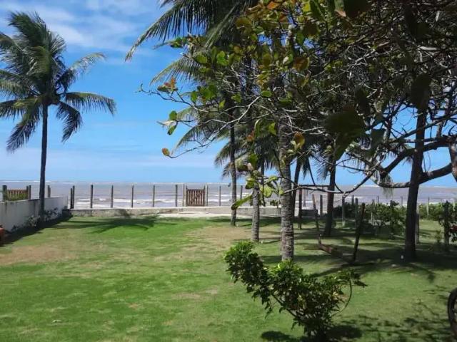 Casa aluguel em Região Geográfica Imediata de Porto Calvo-São Luís do Quitunde, Japaratinga