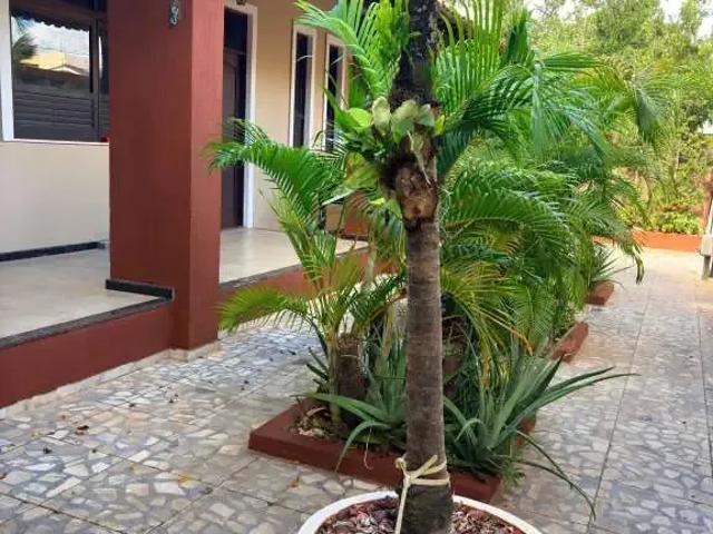 Casa aluguel em Região Geográfica Imediata de Salvador, Região Metropolitana de Salvador