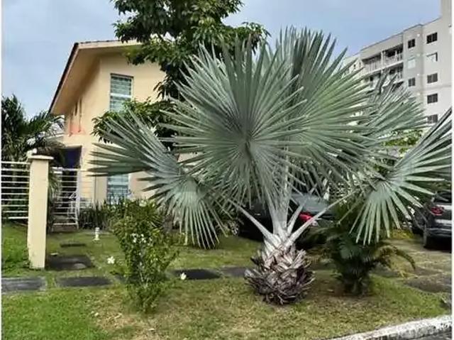 Casa aluguel em Região Geográfica Imediata de Manaus, Itamarati