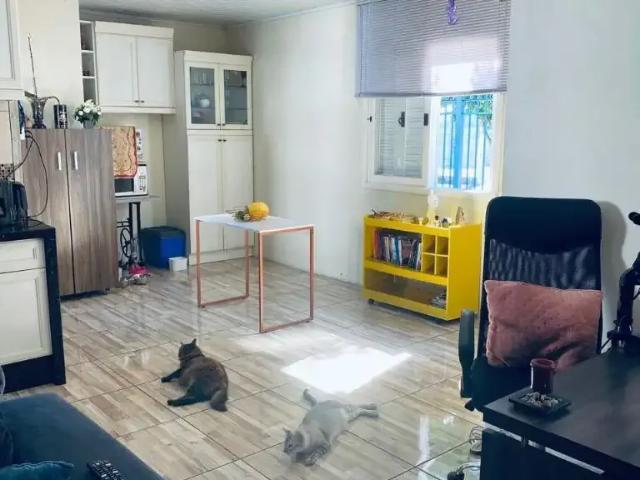 Casa aluguel em Região Geográfica Imediata de Novo Hamburgo - São Leopoldo, Região Metropolitana de Porto Alegre
