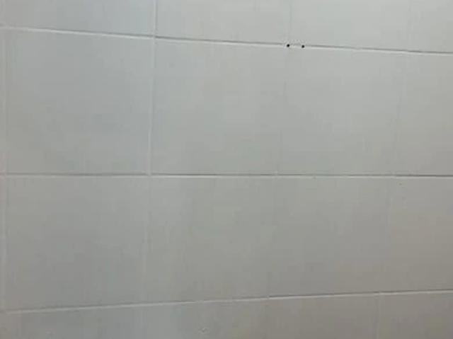 Casa aluguel em Novo Hamburgo