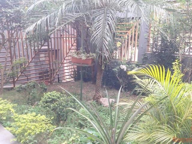 Casa aluguel em Osasco