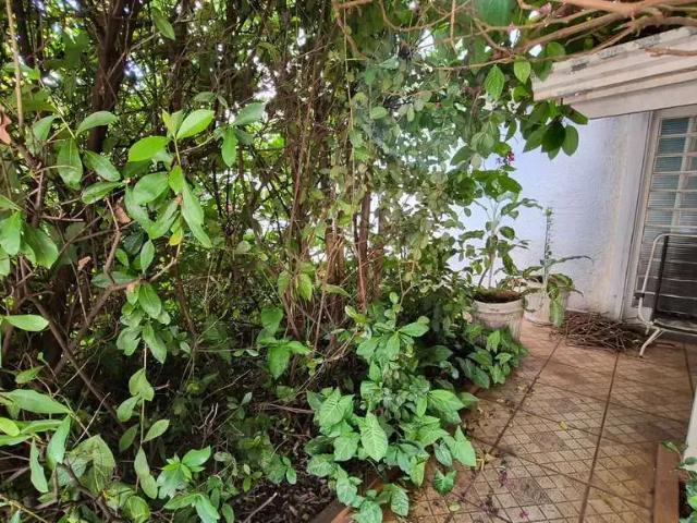 Casa aluguel em Região Imediata de Ribeirão Preto, Região Metropolitana de Ribeirão Preto