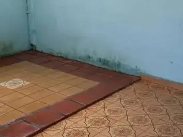 Casa aluguel em Região Imediata de Ribeirão Preto, Região Metropolitana de Ribeirão Preto