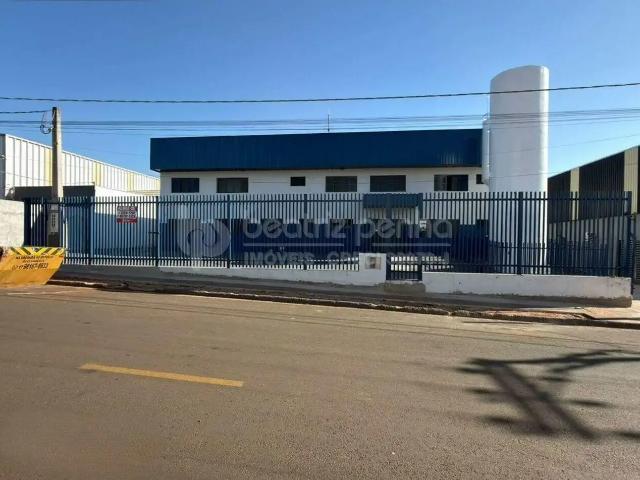 Casa aluguel em Região Imediata de São José do Rio Preto, Região Metropolitana de São José do Rio Preto