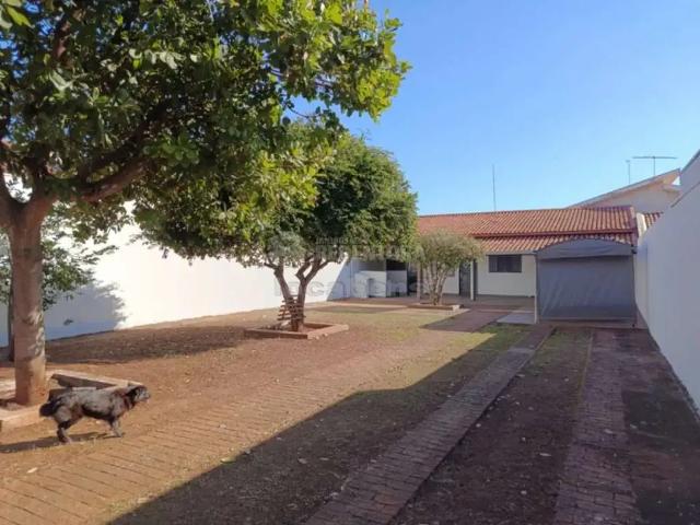 Casa aluguel em Região Imediata de São José do Rio Preto, Região Metropolitana de São José do Rio Preto