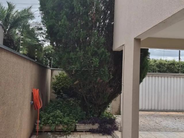 Casa aluguel em São José do Rio Preto