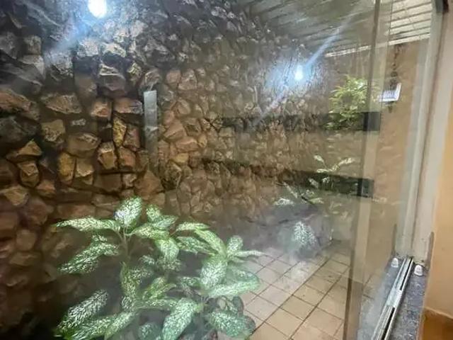 Casa aluguel em Região Geográfica Imediata de São Luís, Nazaré