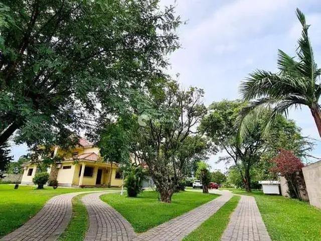 Casa aluguel em Região Geográfica Imediata de Santa Maria, Santa Maria