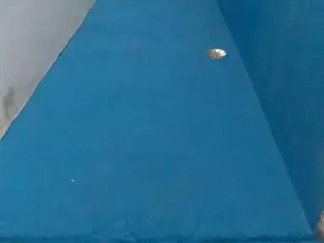 Casa aluguel em Região Imediata de Sorocaba, Região Metropolitana de Sorocaba