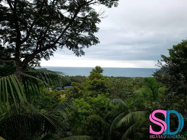 Casa aluguel em Ubatuba, Região Geográfica Intermediária de São José dos Campos