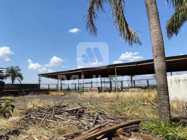 Casa aluguel em Região Geográfica Imediata de Uberlândia, Oliveira Fortes