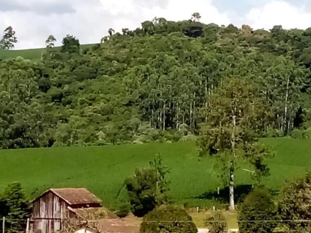 Casa venda em Região Geográfica Imediata de Rio do Sul, Agronômica