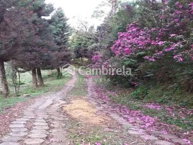 Casa venda em Região Geográfica Imediata de Florianópolis, Águas Mornas